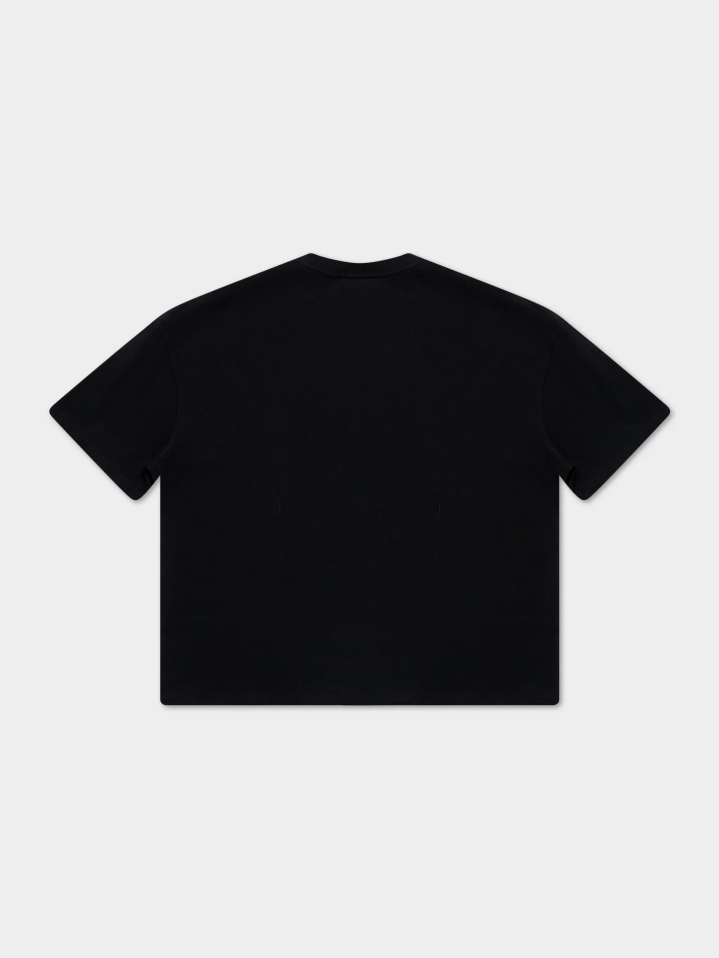 THRASHER FIRE TSHIRT